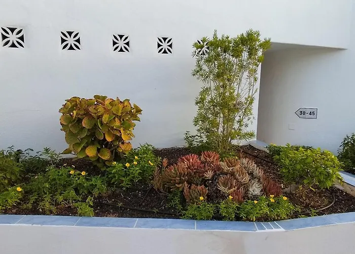 Ocean View Near The Feriehus Costa Adeje (Tenerife)